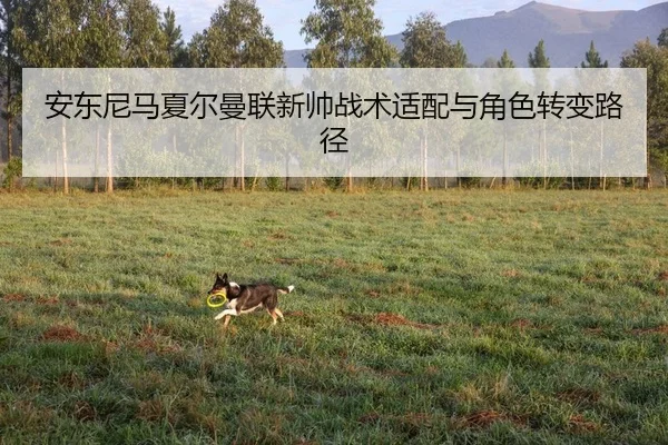 安东尼马夏尔曼联新帅战术适配与角色转变路径