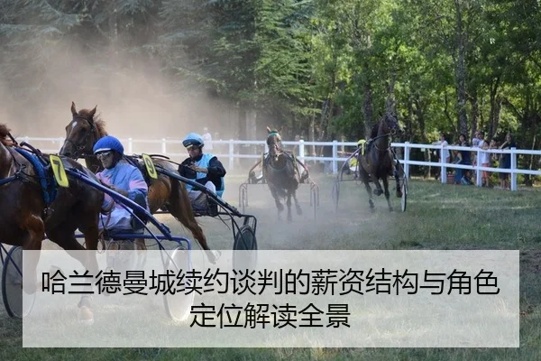 哈兰德曼城续约谈判的薪资结构与角色定位解读全景